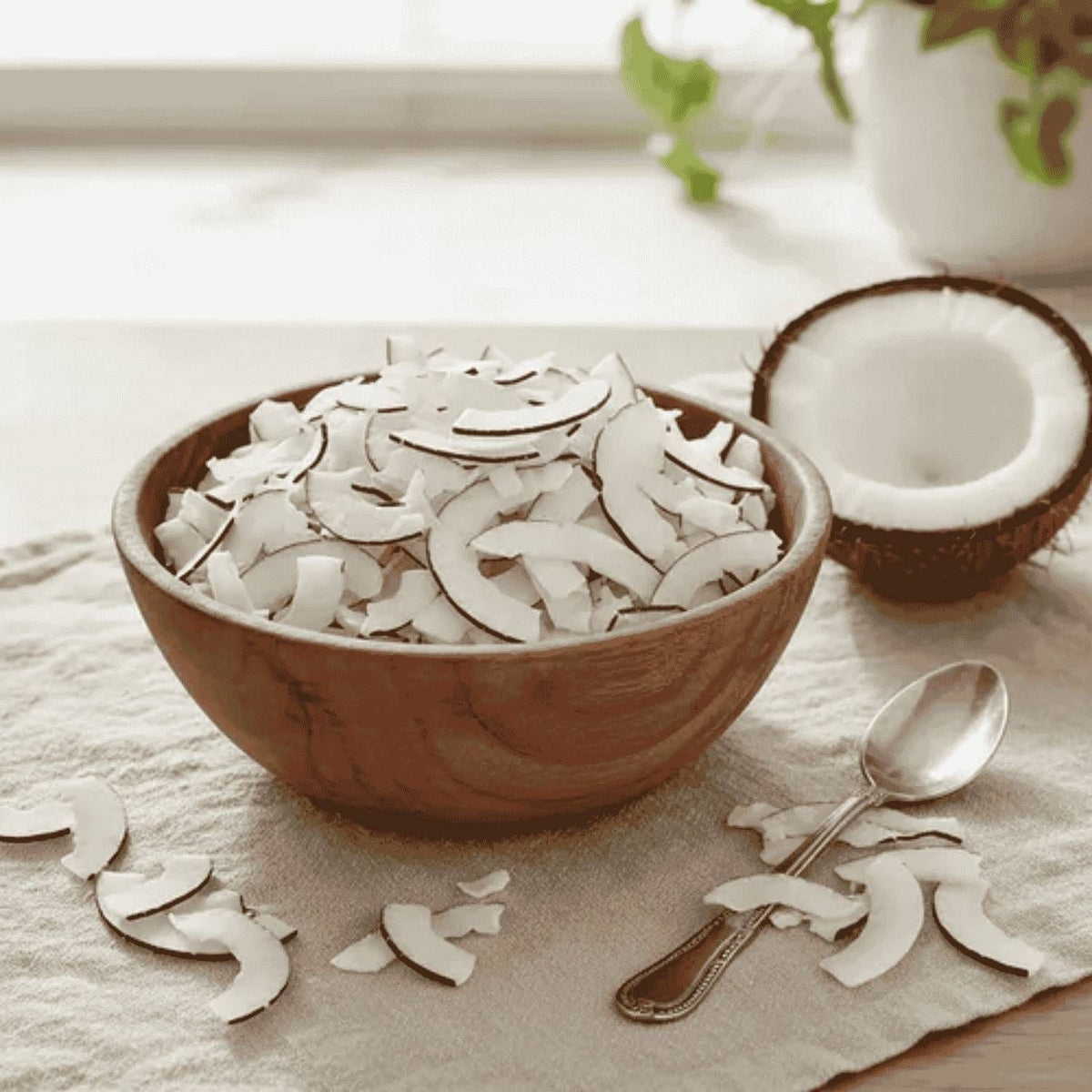 Chips de Coco Zero Açúcar