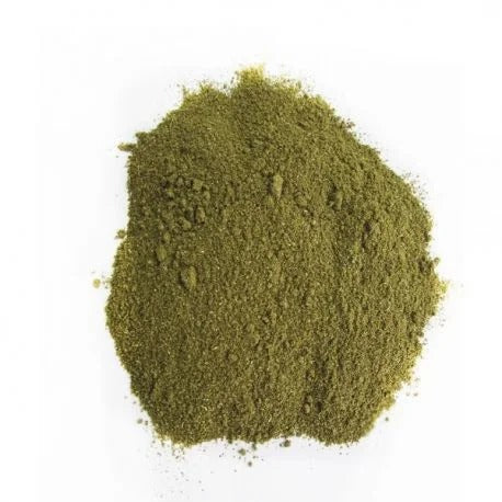 Ginkgo Biloba Pó