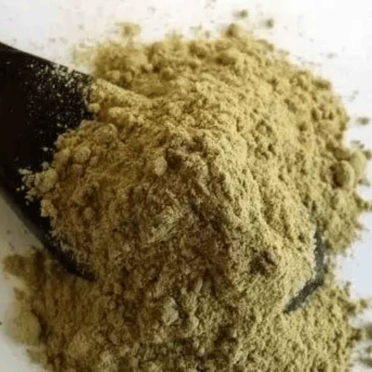 Tribulus Terrestris em Pó