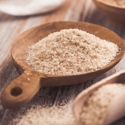 Psyllium Husk Extrato 90%