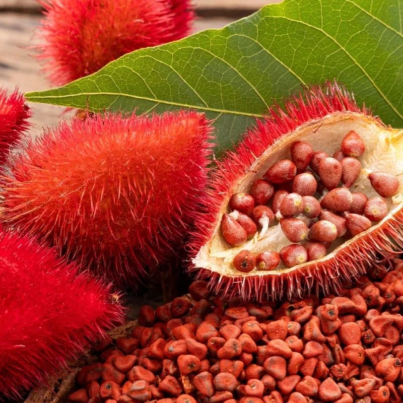 Colorau (Urucum)
