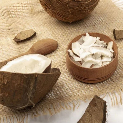 Chips de Coco Zero Açúcar