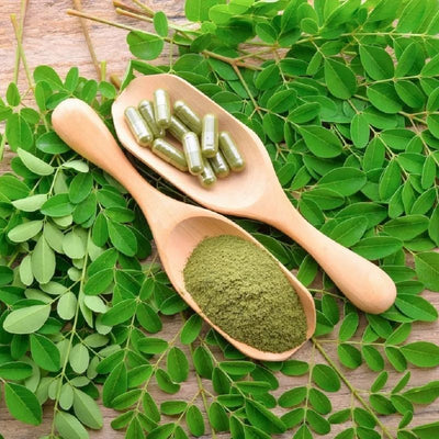Moringa Em Pó