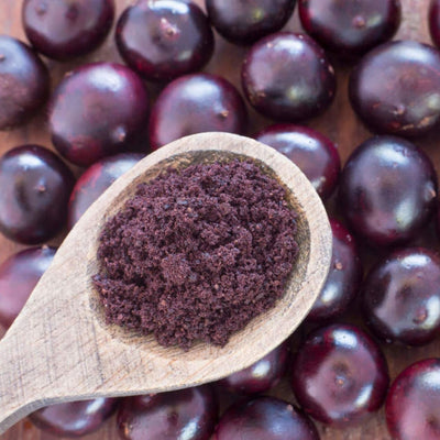 Açaí em Pó