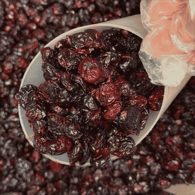 Cranberry Desidratado