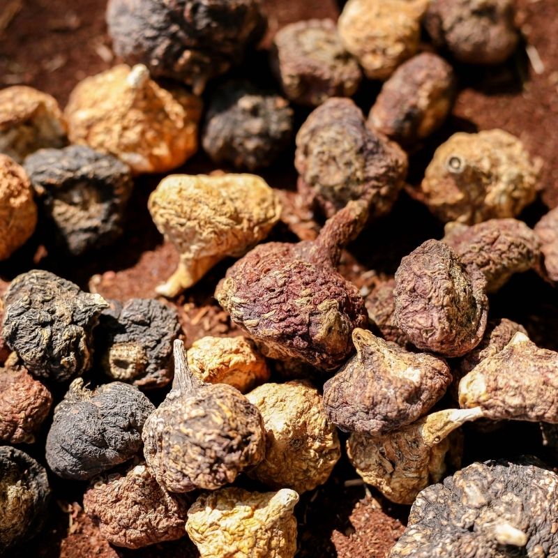 Maca Peruana Amarela Gelatinizada