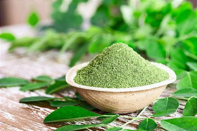 Moringa Em Pó