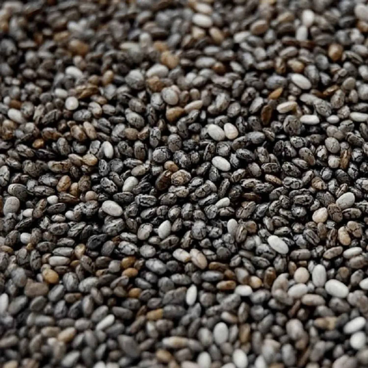 Chia em Grãos