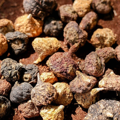 Maca Peruana Vermelha
